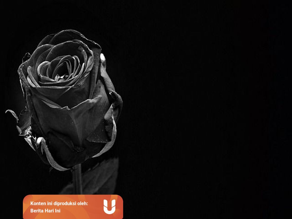 Lirik Lagu Gugur Bunga : Lirik Lagu Gugur Bunga : Jumat, 18 september